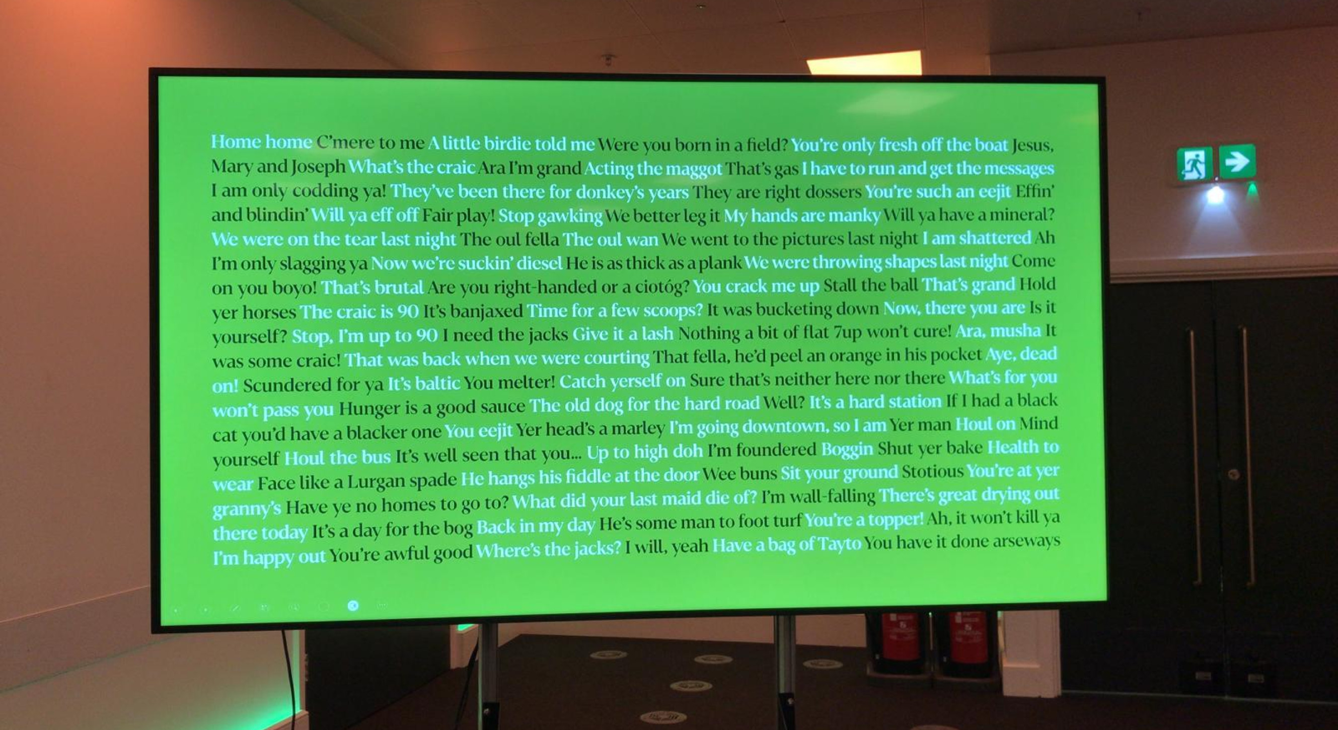 The selection of Irish phrases was a popular exhibit