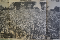 1979 Roundwood Park Festival